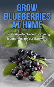 Capa do artigo Grow Blueberries At Home