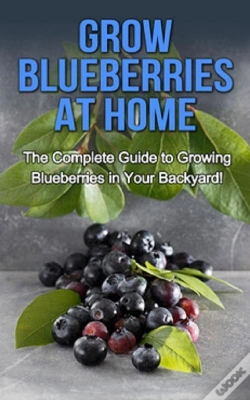 Capa do artigo Grow Blueberries At Home