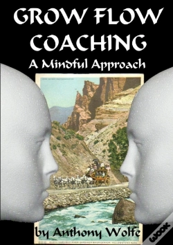 Capa do artigo Grow Flow Coaching