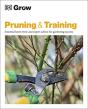 Grow Pruning & Training - Preview