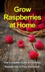 Grow Raspberries At Home - Preview