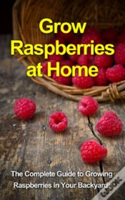 Capa do artigo Grow Raspberries At Home