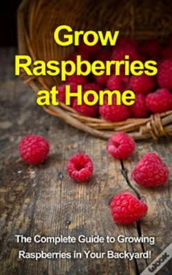 Capa do artigo Grow Raspberries At Home