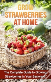 Capa do artigo Grow Strawberries At Home