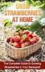 Grow Strawberries At Home - Preview