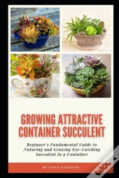Growing Attractive Container Succulent