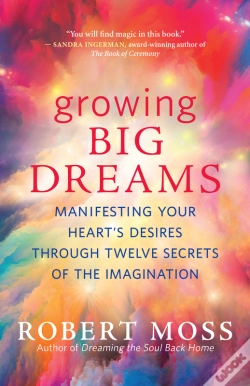 Capa do artigo Growing Big Dreams