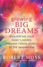 Growing Big Dreams - Preview