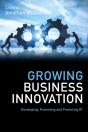 Growing Business Innovation - Preview