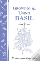 Growing & Using Basil