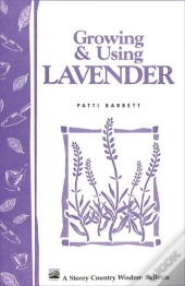 Growing & Using Lavender
