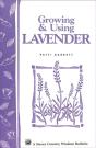 Growing & Using Lavender - Preview
