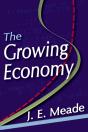 Growing Economy - Preview