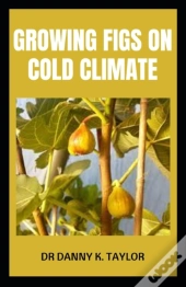 Growing Figs On Cold Climate