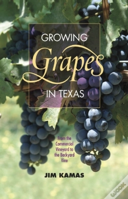 Capa do artigo Growing Grapes In Texas