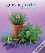 Growing Herbs
