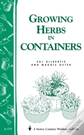 Growing Herbs In Containers