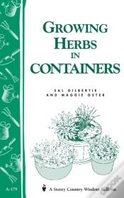 Capa do artigo Growing Herbs In Containers