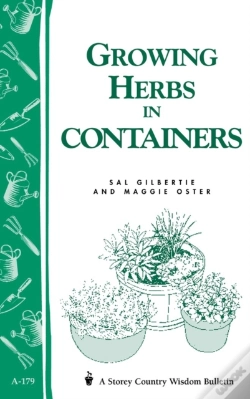 Capa do artigo Growing Herbs In Containers