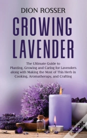 Growing Lavender: The Ultimate Guide To