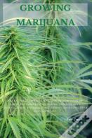 Growing Marijuana