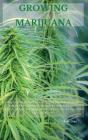 Growing Marijuana - Preview