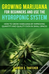 Growing Marijuana For Beginners And Use The Hydroponic System