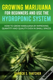 Capa do artigo Growing Marijuana For Beginners And Use The Hydroponic System