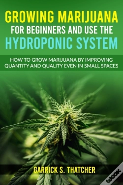 Capa do artigo Growing Marijuana For Beginners And Use The Hydroponic System