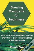 Growing Marijuana For Beginners