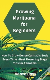 Capa do artigo Growing Marijuana For Beginners