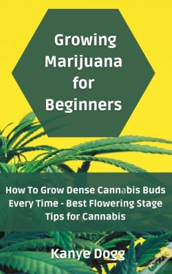 Capa do artigo Growing Marijuana For Beginners