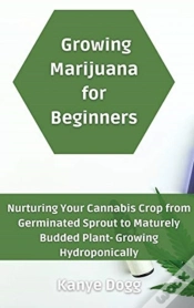 Capa do artigo Growing Marijuana For Beginners