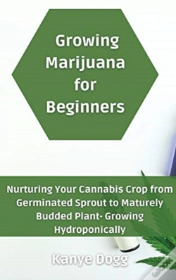 Capa do artigo Growing Marijuana For Beginners