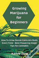 Growing Marijuana For Beginners
