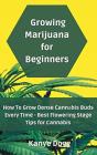 Growing Marijuana For Beginners - Preview