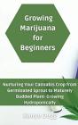 Growing Marijuana For Beginners - Preview