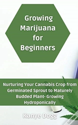 Capa do artigo Growing Marijuana For Beginners