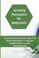 Growing Marijuana For Beginners
