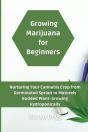 Growing Marijuana For Beginners - Preview