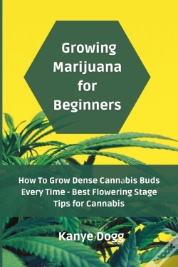Capa do artigo Growing Marijuana For Beginners