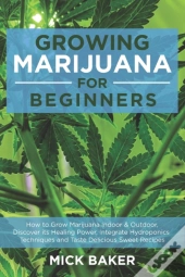 Growing Marijuana For Beginners