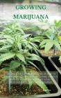 Growing Marijuana - Preview