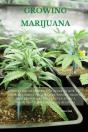 Growing Marijuana - Preview