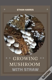 Capa do artigo Growing Mushroom With Straw