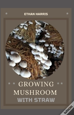 Capa do artigo Growing Mushroom With Straw
