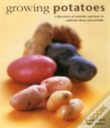 Growing Potatoes