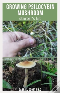 Capa do artigo Growing Psilocybin Mushroom Starter'S Kit