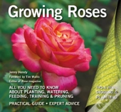 Growing Roses