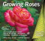 Growing Roses - Preview